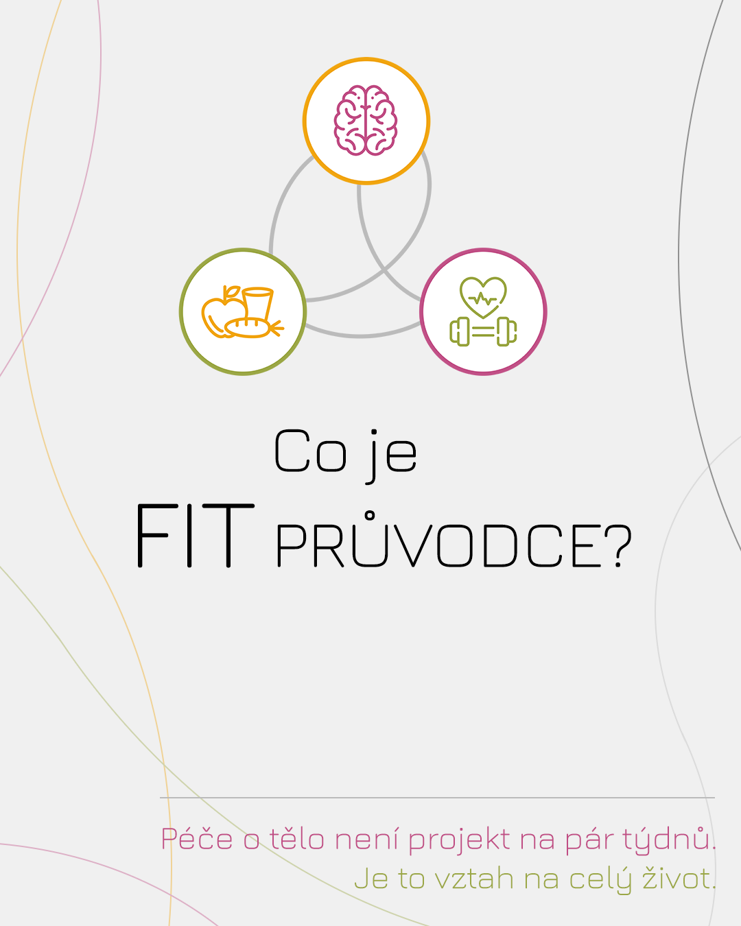 Co je FIT PRŮVODCE?