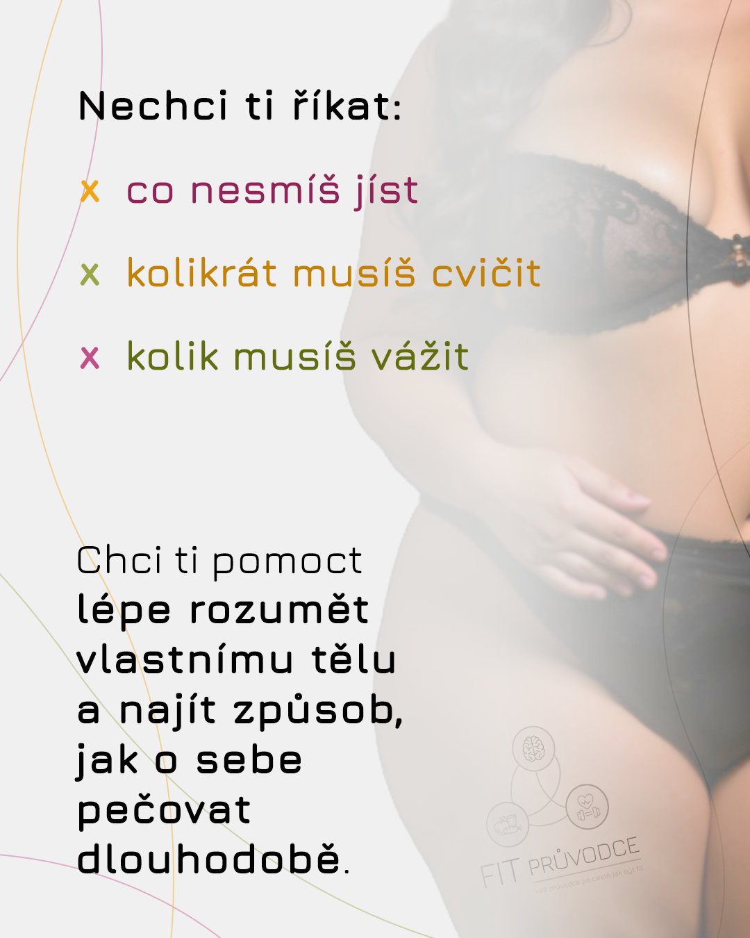 Co je FIT PRŮVODCE?